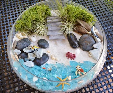 Beach Terrarium, Terrariums Diy, Beach Fairy Garden, Terrarium Kit, Aquarium Terrarium, Plant Terrarium, Bird Flying, Fairy Garden Designs, Air Plant Terrarium