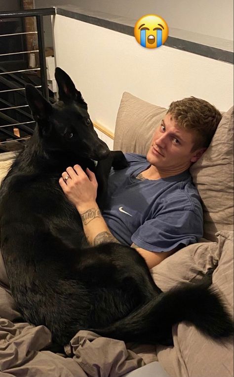 German Shepherd Dogs Aesthetic, Cute German Shepherd Aesthetic, Black German Shepherd Aesthetic, Man With German Shepherd, All Black German Shepard Aesthetic, German Shepherd Dark Aesthetic, Black German Shepherd Puppies, Baby German Shepherds, Dog Tumblr