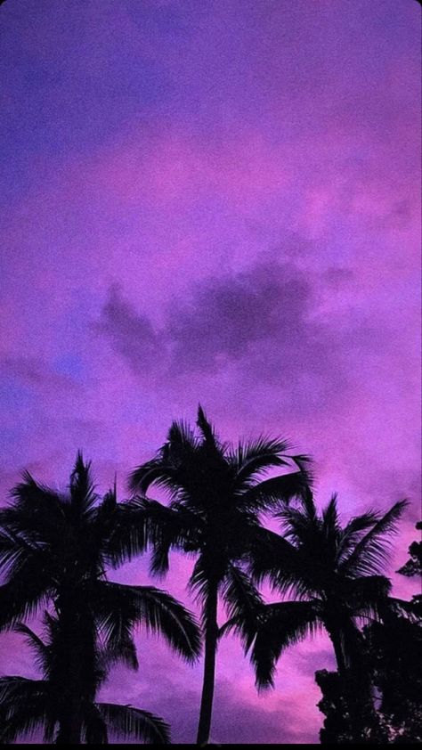 Lofi Vibes, Purple Aesthetic Wallpaper, Black And Purple Wallpaper, Purple Aesthetics, Luxury Wallpapers, Photos To Print, Palm Trees Wallpaper, Trees Wallpaper, Colour My World