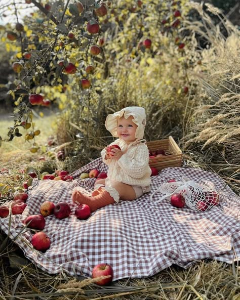 6 Month Apple Pictures, Apple Orchard Baby Pictures, Heirloom First Birthday Photos, 6 Month Fall Baby Picture Ideas, 6 Month Baby Picture Ideas Fall, 6 Months Baby Photoshoot Ideas 6 Month Baby Photoshoot Ideas, Baby Picnic Photoshoot, Baby 6 Month Photoshoot, 9 Months Baby Photoshoot