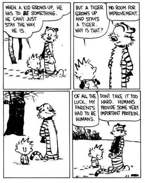 Calvin and Hobbes Ride Again! | Spoken by a real one | Facebook Calvin And Hobbes Humor, Calvin And Hobbes Wallpaper, Best Calvin And Hobbes, Calvin And Hobbes Quotes, Ap Psych, Calvin And Hobbes Comics, Snoopy Funny, Morning Cartoon, Kids Growing Up