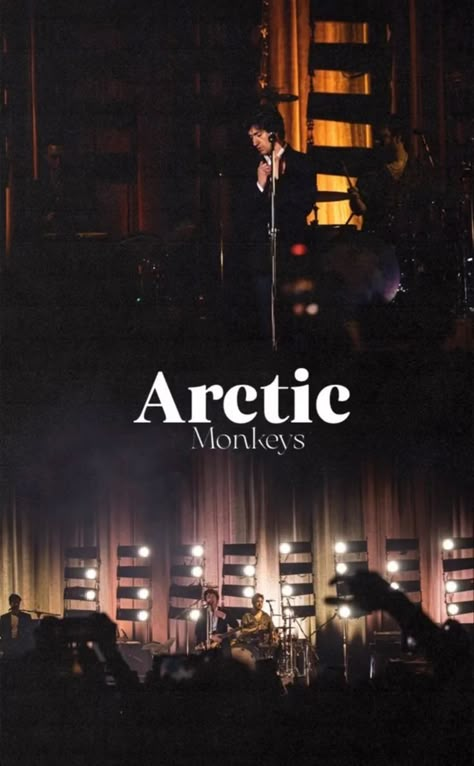 Arctic Monkeys Phone Wallpaper, Arctic Monkeys Wallpaper Iphone, Arctic Monkeys Wallpaper, Monkeys Band, Monkey Wallpaper, The Last Shadow Puppets, Last Shadow, Monkey 3, Artic Monkeys