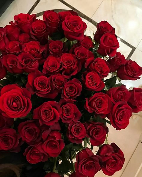 Se você procura imagens para capas, pra sua galeria ou para o seu liv… #diversos # Diversos # amreading # books # wattpad Bouquet Of Red Roses, Rose Belle, Fotos Goals, Illustration Food, Flowers Wallpaper, Flower Quotes, Red Aesthetic, Diy Style, Beautiful Roses