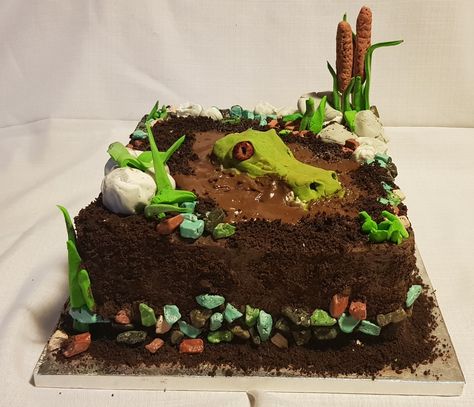 Swamp Cake Ideas, Swamp Birthday Cake, Swamp Birthday Party, Swamp Cake, Florida Party, Swamp Party, Swamp Theme, 26 Birthday, 26th Birthday