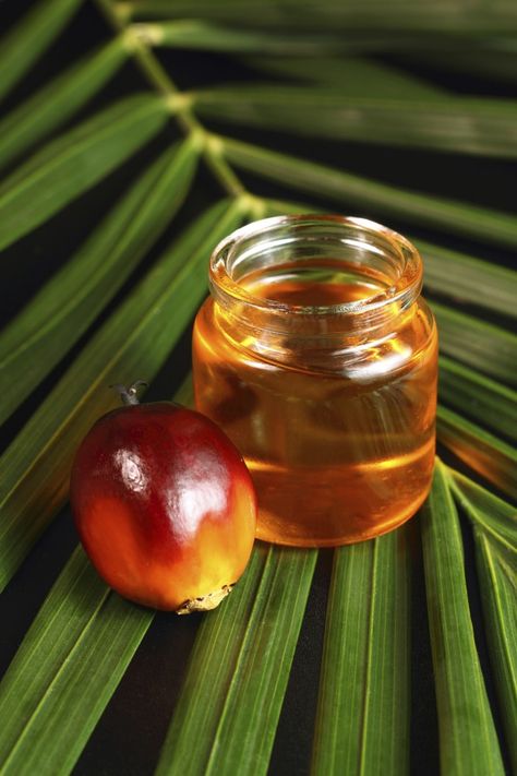 Pack a Nutritional Knockout with Red Palm Oil Benefits Of Olive Oil, Palm Fruit Oil, Red Palm Oil, Diet Results, Red Palm, Oil Benefits, Dr Oz, Beauty Advice, Alternative Health