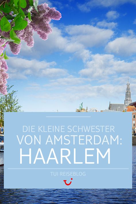 Things To Do In Haarlem Netherlands, Haarlem Netherlands, Holland America Westerdam, Westerpark Amsterdam, Vacation Destinations, Netherlands, Holland, Amsterdam, The Good Place