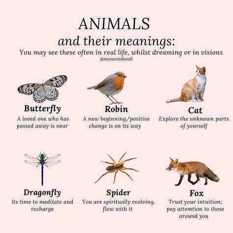 a few common animals you may see often - whether it’s walking down the street, appearing in your dream or visit you whilst meditating - they have a message for you! 🤍 how many have you come across? 👼🏽 #animals #animalmeanings #animalsynchronicities #butterflymeaning #spiritanimals #spiritanimal #spiritguides #spiritguide #crystals #animalsymbolism #zodiacsigns #signssignseverywheresigns #signsfromtheuniverse #signsfromheaven #signsfromabove #signsfromspirit #spirituality #spiritualawakening Animal Meanings Symbols, Animal Symbolism And Meanings, Butterfly Meaning, Signs From Heaven, Animal Meanings, Signs From The Universe, Animal Guides, Walking Down The Street, Animal Symbolism