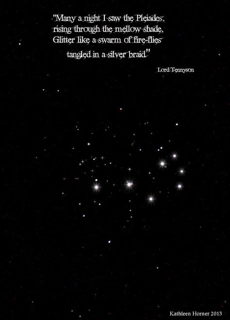 Pleiades Art, Constellation Quotes, Pleiades Tattoo, Pleiades Constellation, Astronomy Quotes, Constellation Art, The Pleiades, Constellation Map, Writer Inspiration