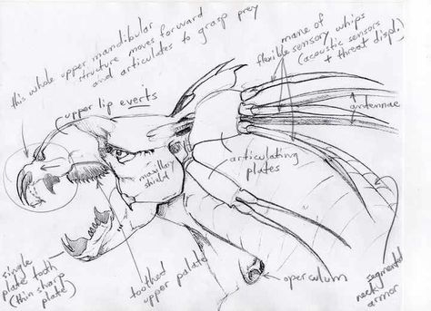 Palulukan Avatar, Thanator Avatar, Avatar Concept Art, Dragon Project, Avatar Animals, Avatar 2009, Avatar 1, Monster Artwork, Dragon Sketch