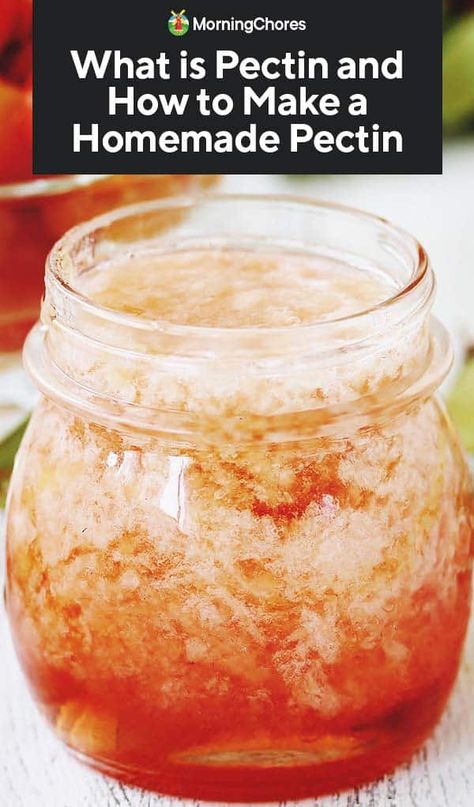 Pectin Recipes, Home Canning Recipes, Canning Food Preservation, Homemade Pantry, Homesteading Skills, Jam And Jelly, Jelly Recipes, Home Canning, Homemade Jam