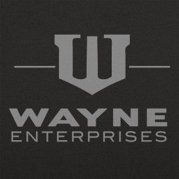 Wayne Enterprises Blade Runner Poster, Enterprise Logo, Astro Cat, Wayne Enterprises, New Shirt Design, Batman Birthday Party, Series Poster, Movie Tees, Funny T Shirts