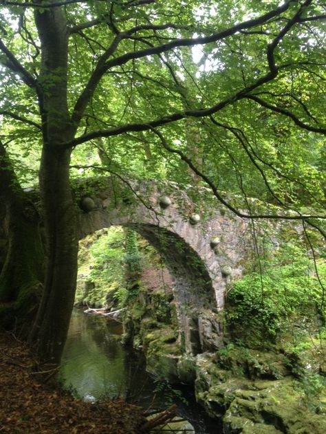 Riparian location...so green and lush! IMG_3673 Stone Bridges, Inner Landscape, Old Bridges, Stone Arch, Stone Bridge, Forest Park, Old Stone, Covered Bridges, Ireland Travel