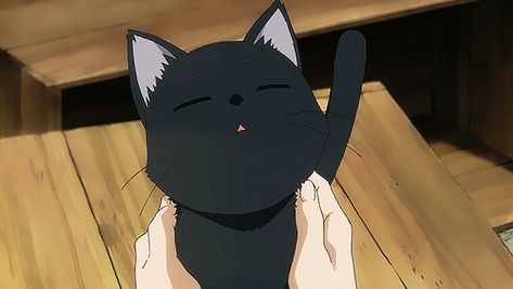 Flying witch Flying Witch Anime, Witch Gif, Black Cat Aesthetic, Black Cat Anime, Flying Witch, Anime Gifs, Cute Black Cats, Retro Cats, Cartoon Gifs