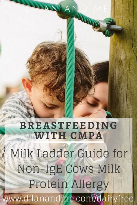 Milk Ladder Guide - Breastfeeding With CMPA - Lauren Ashley Gordon Dairy Ladder Step 1 Recipe, Reintroducing Dairy, Dairy Ladder, Milk Ladder, Cows Milk Protein Allergy, Cows Milk Allergy, Milk Production Breastfeeding, Protein Milk, Cows Milk