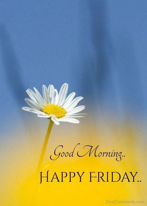 Friday Morning Images, Happy Friday Pictures, Happy Friday Morning, Friday Greetings, Happy Tuesday Morning, Friday Morning Quotes, Good Morning Sun, Friday Pictures, Morning Friday