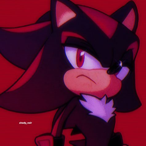 Ig: shady_noir Shadow Pfp, 2000s Art, Shadow And Amy, Baby Hedgehog, Sonic Franchise, Hedgehog Art, Shadow Art, Sonic And Shadow, Sonic Fan Art