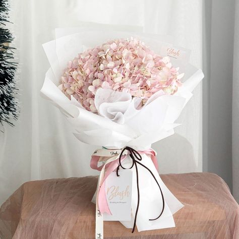 Korean Bouquet, Blush Hydrangea, Blush Bouquet, Hydrangea Bouquet, Online Florist, Hydrangea Macrophylla, Pink Hydrangea, Ipoh, Small Bouquet