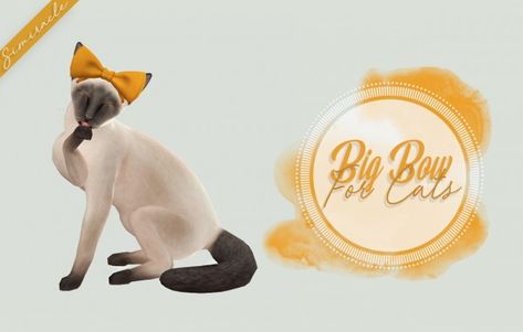 Simiracle: Big Bow For Cats • Sims 4 Downloads Sims 4 Cat, Around The Sims 4, Pets Clothes, Sims Pets, Pets Clothing, Fantasy Play, Clothes Cc, Sims Baby, 4 Characters