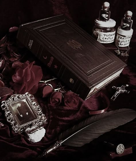 #gothic #vampire Dracula Bram Stoker Aesthetic, Bram Stokers Dracula Aesthetic, Dracula Aesthetic, Hubert Von Vestra, Vampires Aesthetic, Dracula Bram Stoker, Dracula Book, Modern Vampire, Vampire Book