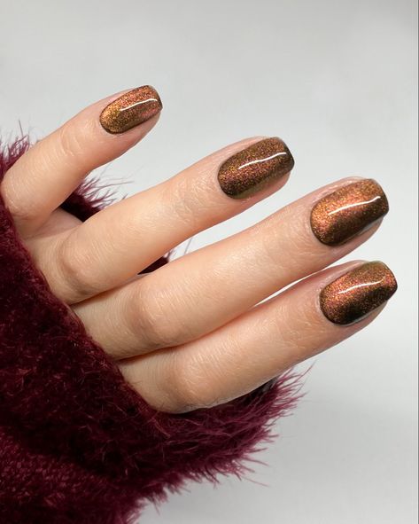 Velvet nail design using cat eye gels Cat's Eye Nail Design, Cat Eye Nails Orange, Brown Cat Eye Nails Design, Light Brown Cat Eye Nails, Brown Cateye Nail, Fall Brown Cat Eye Nails, Fall Cat Eye Nails 2024, Brown Cat Eye Nails, Fall Cat Eye Nails