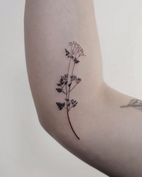 Hongdam Tattoo, Flowers Tattoos, Leaf Tattoos, Maple Leaf Tattoo, Tattoo Inspo, Flower Tattoo, Tattoos, Flowers, Instagram