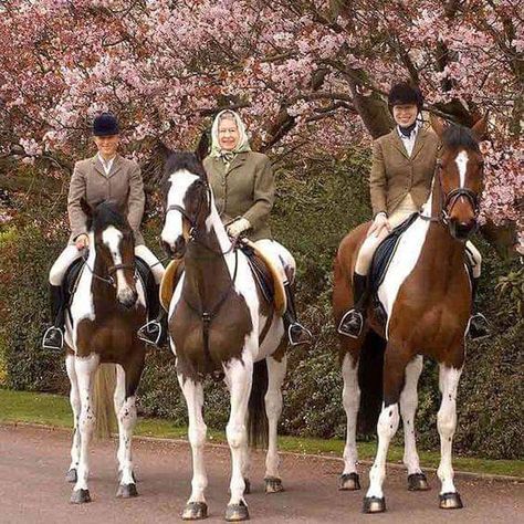 Three generations of royal horsewomen: Zara Tindall, Queen Elizabeth II and Anne, The Princess Royal riding around Windsor Castle over Easter weekend in 2004. Photo from Hello Magazine Prinses Margaret, Prins Philip, Toddler Shows, Young Queen Elizabeth, Zara Tindall, Rainha Elizabeth Ii, Zara Phillips, Hm The Queen, Royal Family England