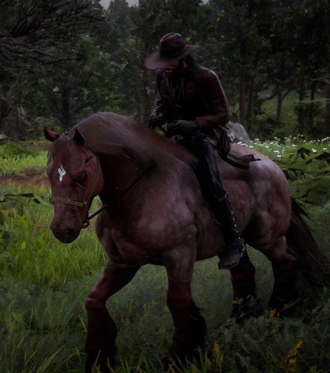 Rdr2 ❤️👑 Rdr Horses, Rdr2 Screenshots, Rdr2 Horses, Rdr2 Wallpaper, Red Dead Redemption 3, Medieval Horse, Red Dead Online, Read Dead, John Marston