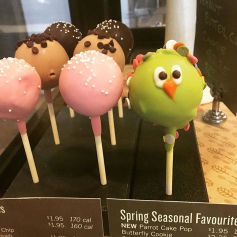 Anyone else  love the new #starbucks spring Cake Pop? Too cute not to indulge!!  #springishere #spring #cute #cakepops #dessert #kidslovedit #coffeelover #mommyblogger #momresourceca Cake Pop Starbucks, Cake Pops Starbucks, Starbucks Calories, Cookie Dough Cake Pops, Cake For Two Recipe, Cake Pop Flavors, Starbucks Cake Pops, Low Calorie Cake, Starbucks Chocolate