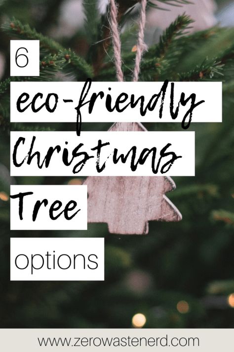 6 Eco-Friendly Christmas Tree Options - Zero Waste Nerd Sustainable Christmas Tree, Zero Waste Holiday, Zero Waste Christmas, Natural Christmas Tree, Eco Christmas, Potted Christmas Trees, Eco Friendly Holiday, Sustainable Christmas, Eco Friendly Christmas