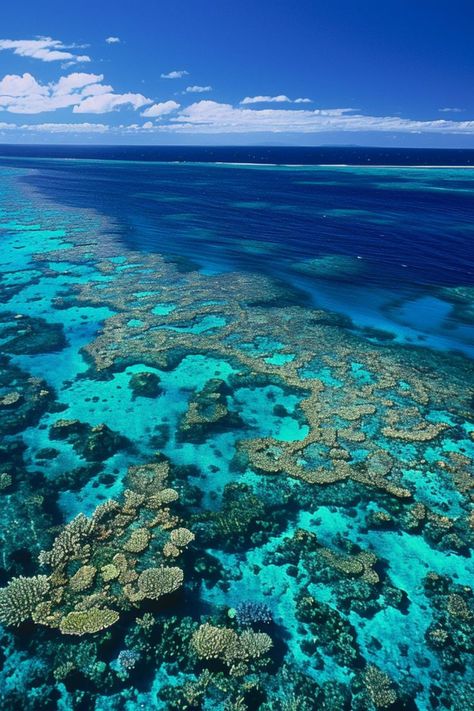 Dive into the Wonders of the Great Barrier Reef 🐠✨ Discover the vibrant marine life of the Great Barrier Reef in Australia. Snorkel or dive to explore the colorful coral reefs and diverse underwater ecosystem. 🌿🌊 #GreatBarrierReef #AustraliaTravel #MarineLife #NatureLovers Great Barrier Reef Diving, Great Barrier Reef Snorkeling, Underwater Ecosystem, Great Barrier Reef Australia, Coral Reef Ecosystem, Barrier Reef Australia, Boat Wallpaper, New Zealand Landscape, The Great Barrier Reef