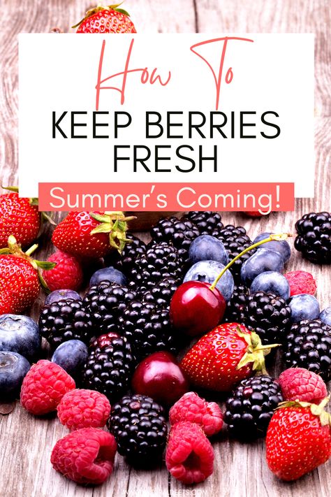 Keep your berries fresh and flavorful with these easy storage tips! From strawberries to blueberries, learn how to store your summer bounty for longer-lasting sweetness. #BerryStorage #FreshBerries #SummerFruits Dairy Free For Beginners, Healthy Cocktail Recipes, Best Egg Recipes, Freezer Friendly Meals, Healthy Cocktails, Delicious Clean Eating, Easy Clean Eating, Storage Tips, No Bake Snacks