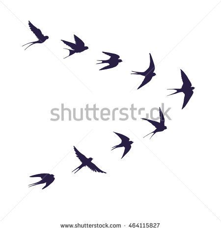 flock of birds silhouette swallow Swallow Silhouette Flying, Swallow Silhouette, Cliche Tattoo, Bird Silhouette Tattoos, Birds Silhouette, Silhouette Tattoo, Vogel Tattoo, Bird Painting Acrylic, Black Bird Tattoo