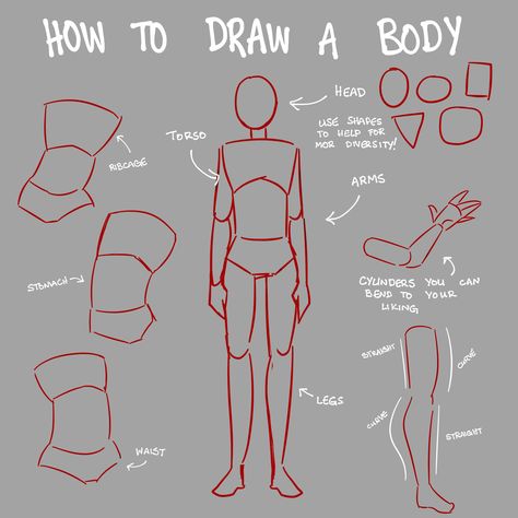 Anatomy Tips, الفن الرقمي, Body Shape Drawing, Body Drawing Tutorial, Creative Drawing Prompts, Body Reference Drawing, Art Tools Drawing, Sketches Tutorial, Easy Drawings Sketches