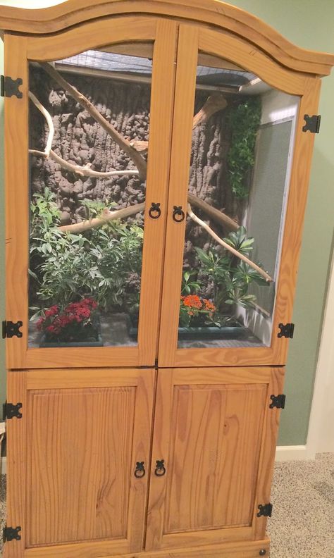 diy armoire chameleon mansion upcycle Chameleon Enclosure, Iguana Cage, Chameleon Cage, Snake Cages, Diy Reptile, Bearded Dragon Enclosure, Snake Enclosure, Bearded Dragon Habitat, Snake Tank