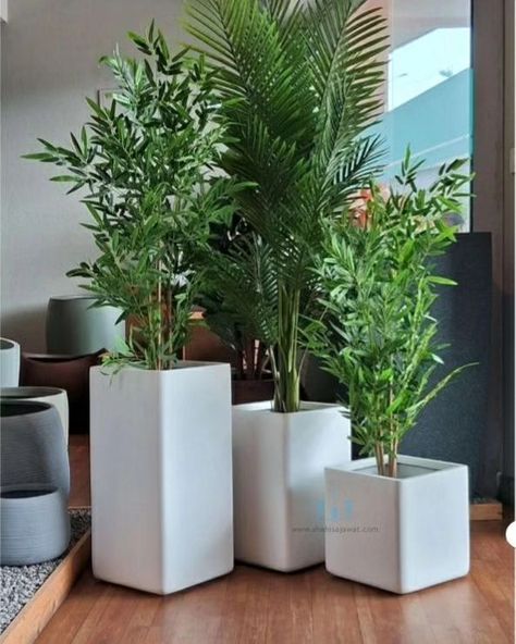 The White Square Shaped FRP Planter With Its Handcrafted Smooth Finished Body And Clean Lines Adds A Unique And Minimalistic Touch To Any Spaces. Showcase Your Favorite Plants In Style And Bring A Touch Of Natural Charm To Your Interior. Using Fiberglass Planters In Your Plantscaping Designs Is A Great Way To Enhance The Beauty Of Any Indoor Or Outdoor Landscape. Their Durable, Commercial Grade Construction And Vast Color Choices Make Fiberglass Plant Containers An Interiorscape And Exterio... Frp Planters, Exterior Landscaping, Plant Containers, Fiberglass Planters, Outdoor Landscape, White Square, Outdoor Landscaping, Container Plants, Color Choices