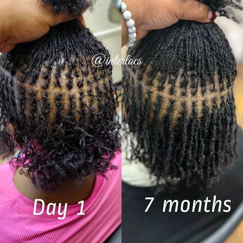 Low Density Locs, Low Density Hair, Dread Heads, Micro Locs, Sister Locs, Loc Journey, Baby Hairs, Locs Hairstyles, 7 Months