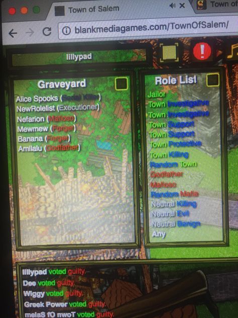 This happened at a round of Town of Salem I was playing. Go town! Town Of Salem, Graveyard, Gaming, Orange, Memes