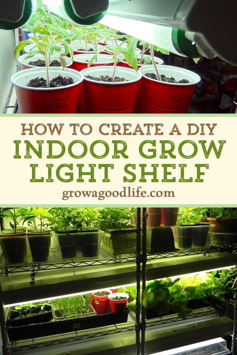 Indoor Vegetable Garden Grow Light, Inexpensive Grow Lights, Best Grow Lights Indoor Gardening, Garden Seed Starting Indoor, Indoor Garden With Grow Lights, Growing Lights For Plants, Grow Lights For Seed Starting, Indoor Garden Ideas Houses, Indoor Seed Starting Setup