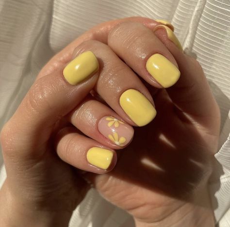 Summer Yellow Nails, Yellow Nail Art, Yellow Nails Design, Cute Short Nails, Pretty Nail Colors, May Nails, Summer Yellow, Cute Gel Nails, Vacation Nails