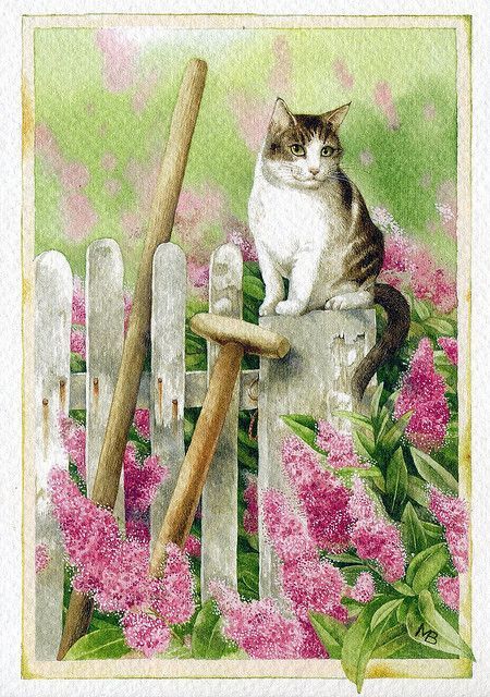 5ef365b6c9a850e639955db88534f0a8 | bjsmith6 | Flickr Marjolein Bastin Art, Marjolein Bastin, Nature Artists, Cats In Art, Art Et Illustration, Cats Illustration, Beatrix Potter, Vintage Cat, Flower Illustration