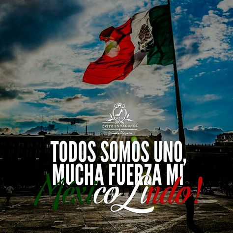 ¡La UNIÓN hace la FUERZA! Ninguna adversidad es tan fuerte como la unión de todos, vamos México! -WV- #FuerzaMexico #Unidos #Fuertes #Imparables #Inquebrantables Mexican Flag Eagle, Mexican Pride, General Quotes, Mexican Flag, Mexican Flags, Travel Journal, Places To Travel, Harry Potter, Angel