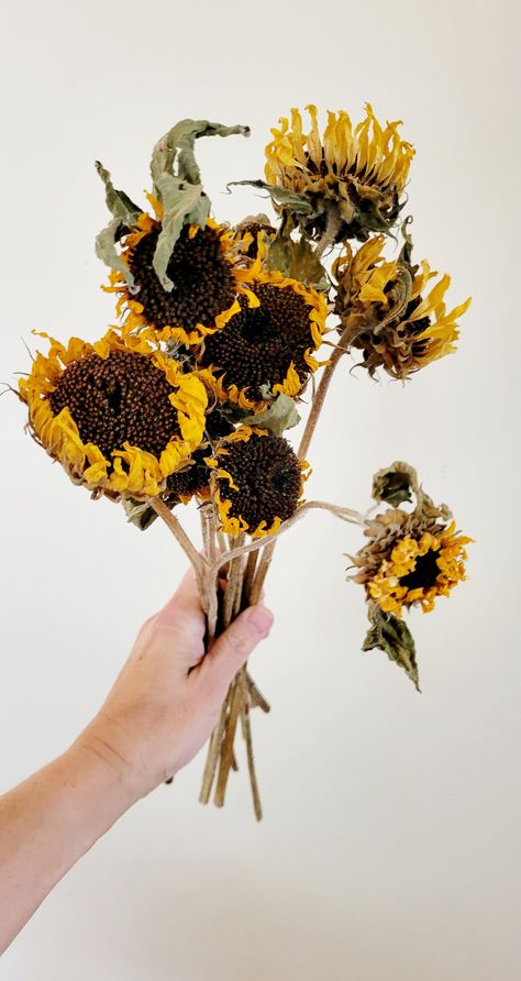 Dried Sunflowers Decor, Dried Sunflower Bouquet, Natural Flower Bouquet, Dried Flower Bouquet Sunflower, Dried Flowers For Wedding, Sunflower Wheat Bouquet, Sunflower Bunch, Dried Yellow Roses, Sunflower Heads