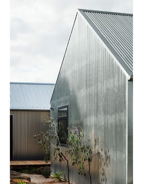 A Shed-Inspired Home, Designed To Age Gracefully Corrugated Metal Siding, One Bedroom House, Plywood Interior, Shed Home, Modern Barn House, Age Gracefully, Metal Siding, Roof Trusses, Plywood Sheets