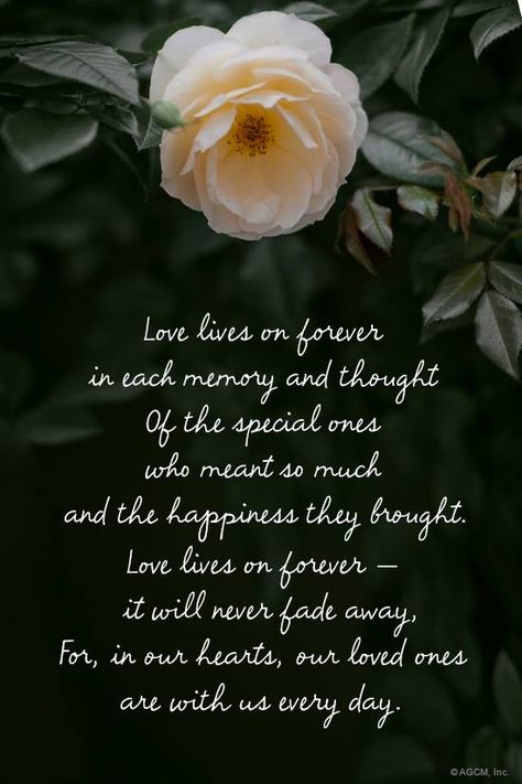 Love lives on forever in each memory and thought Of the special ones who meant so much and the happiness they brought. Love lives on forever it will never fade away, For, in our hearts, our loved ones Poem For A Friend, Cards For Coworkers, Parents Poem, Condolence Cards, Father Poems, Poems And Quotes, Sympathy Poems, Online Cards, Sympathy Messages