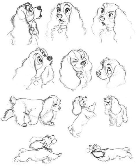 Lady and the tramp- it's amazing how disney animators can give a cartoon dog so much room for various expressions, all with maintaining the simplicity of disney animation Disney Style Drawing Animals, Dog Character Expressions, Cocker Spaniel Character Design, How To Draw Disney Dogs, Vintage Disney Sketches, How To Draw Disney Style Animals, Pixar Animation Sketches, Disney Illustration Art Character Design, Cocker Spaniel Cartoon Drawing