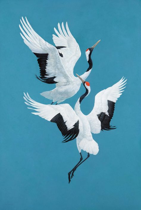 Crane Bird Painting, Red Crowned Crane Tattoo, Red Crown Crane, Crane Drawing, Crane Dance, 1000 Cranes, Paintings For Wall, Bird Painting Acrylic, Tattoo Art Ideas