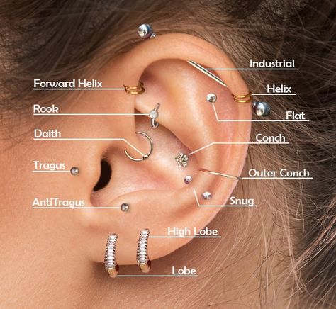 Names Of Ear Piercings Chart, Ear Piercing Ideas Chart Names, Types Of Ear Piercings Chart, Helix Piercing Ideas, Ear Piercing Names, Top Ear Piercing, Different Ear Piercings, Unique Ear Piercings, Ear Peircings