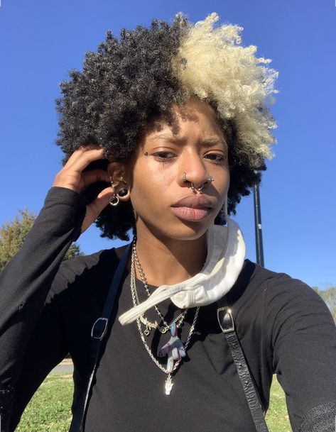 Afro With Colored Tips, Skunk Stripe Hair Afro, Black And Blonde Afro, Dyed Natural Hair 4c, Short 4c Hair Dyed, Dyed Hair Black Women 4c, Afro Dyed Hair, Short Curly Hair Dye Ideas, Bleached Afro