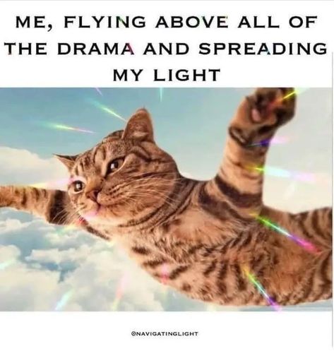 Funny Spiritual Memes, Senior Discounts, Jokes Pics, Hypnotherapy, Social Security, Bones Funny, Way Of Life, Spiritual Quotes, Cat Memes