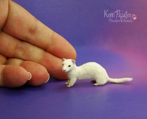 Food Miniatures, Mini Animals, Ragdoll Kitten, Polymer Clay Miniatures, Miniature Animals, Clay Animals, Clay Miniatures, Bird Sculpture, Felted Animals